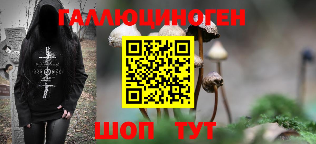 Галлюциногенные грибы Psilocybe Семёнов